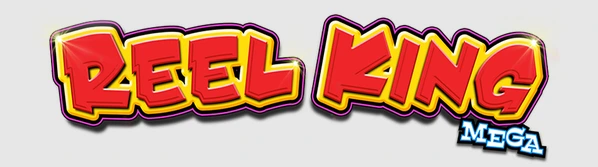 Reel king mega slot.